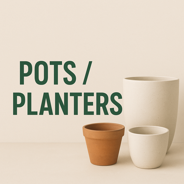 Pots/Planter